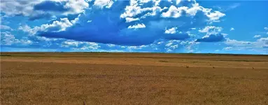 07.webp