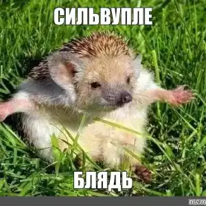 silvouple.webp