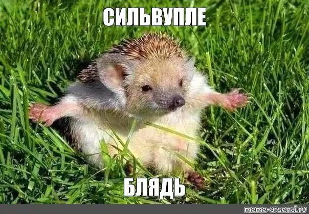 silvouple.webp